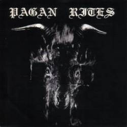 Pagan Rites : Sodomy In Heaven